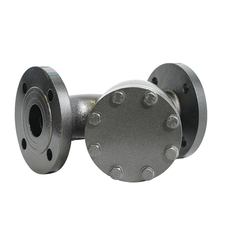 PN16 DN50/DN80 FLECHTE DUCTILE IJZER Y-TYPE STrainer