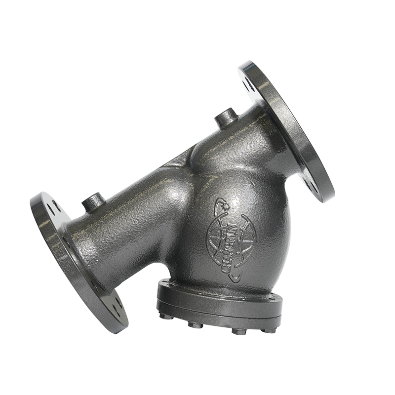 PN16 DN50/DN80 FLECHTE DUCTILE IJZER Y-TYPE STrainer