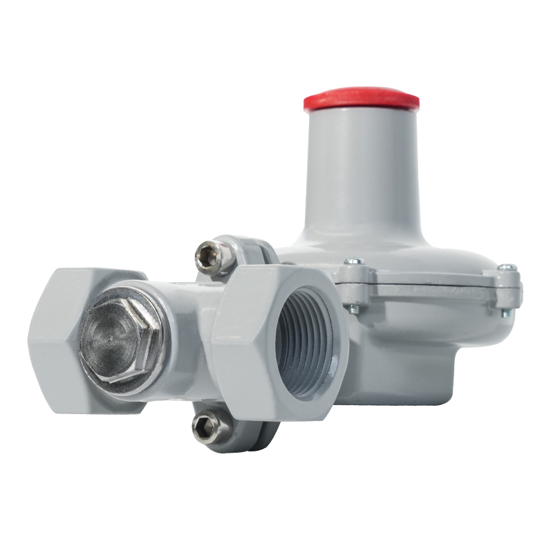 Veiligheidsklep Gasregeling Pomp Accessoires Drukregelaar